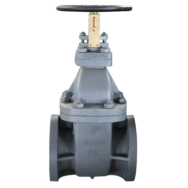 JIS F7364 Cast Iron Gate Valve